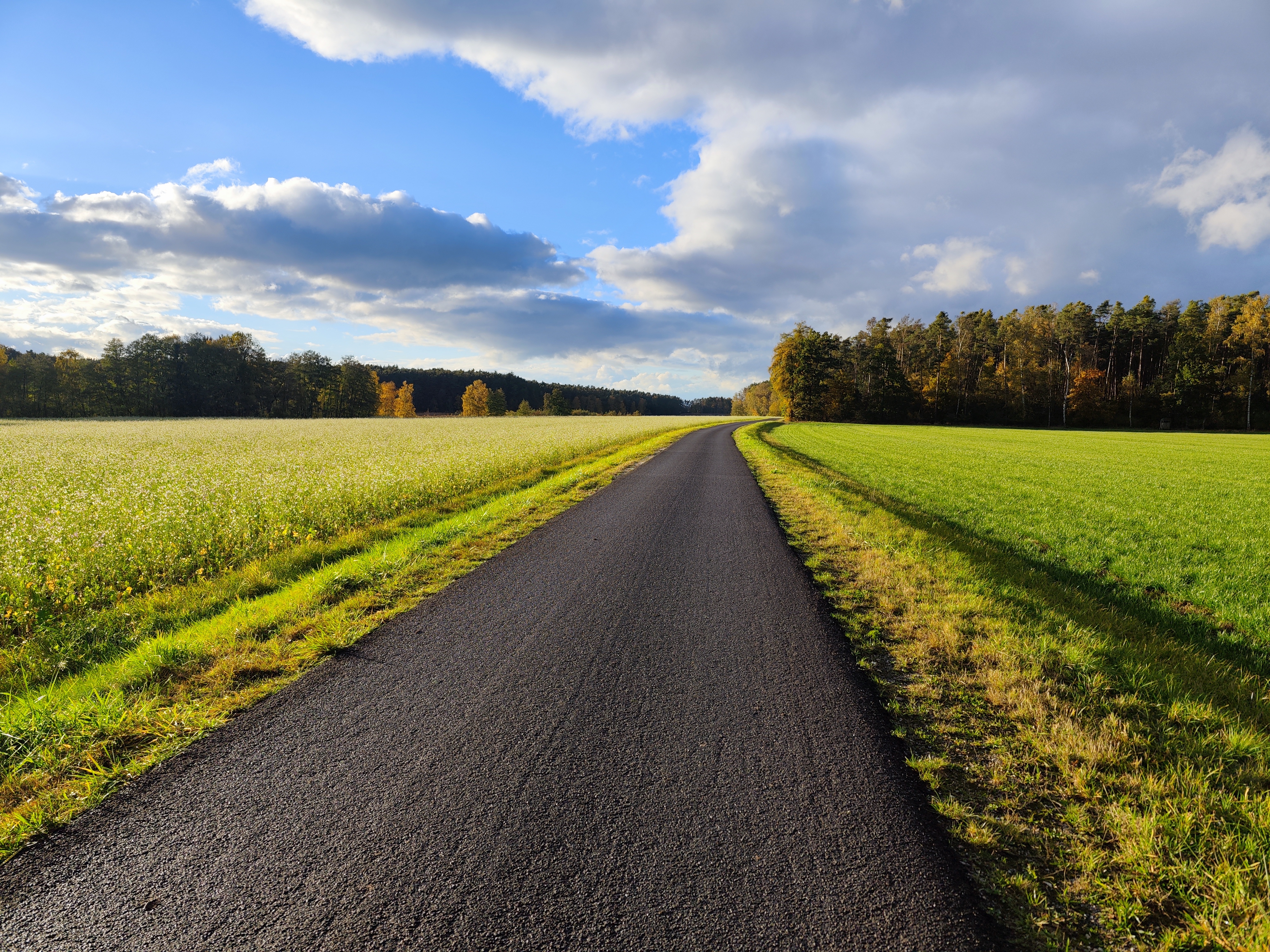 1698658625027