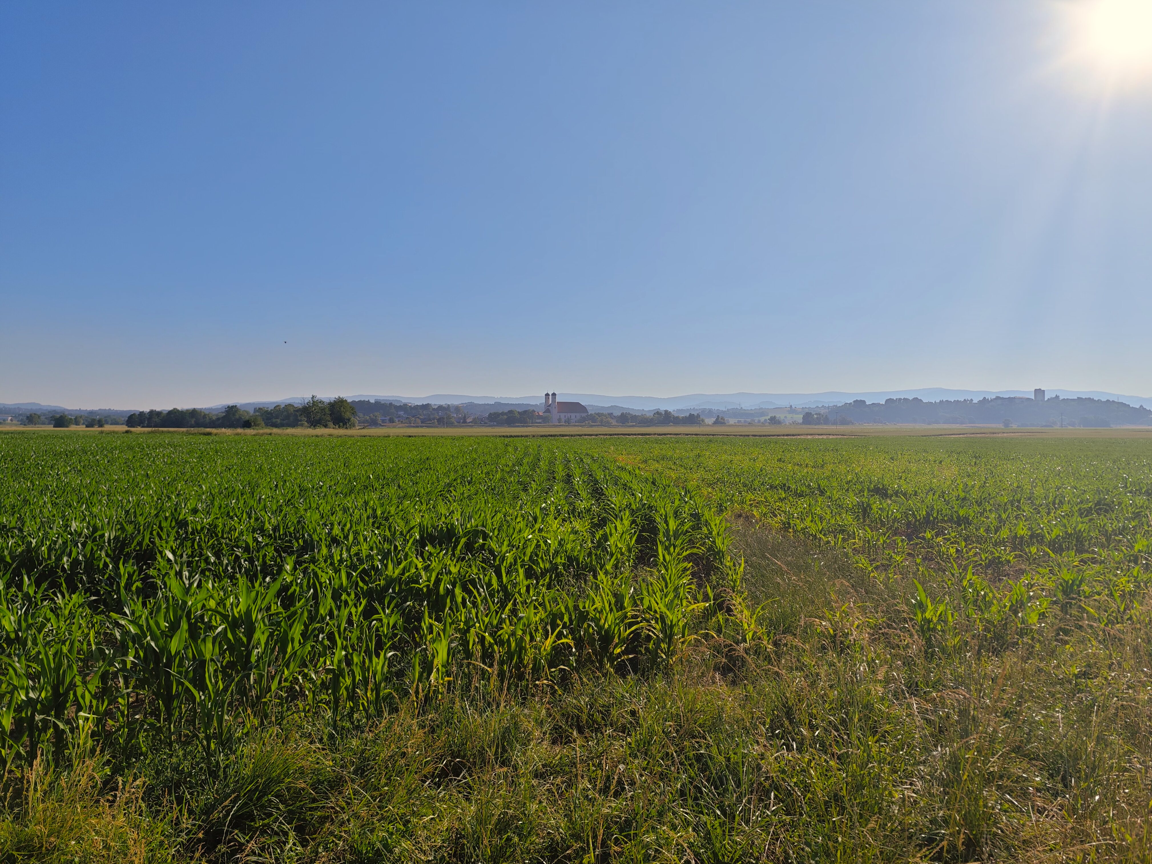 IMG 20230625 074933