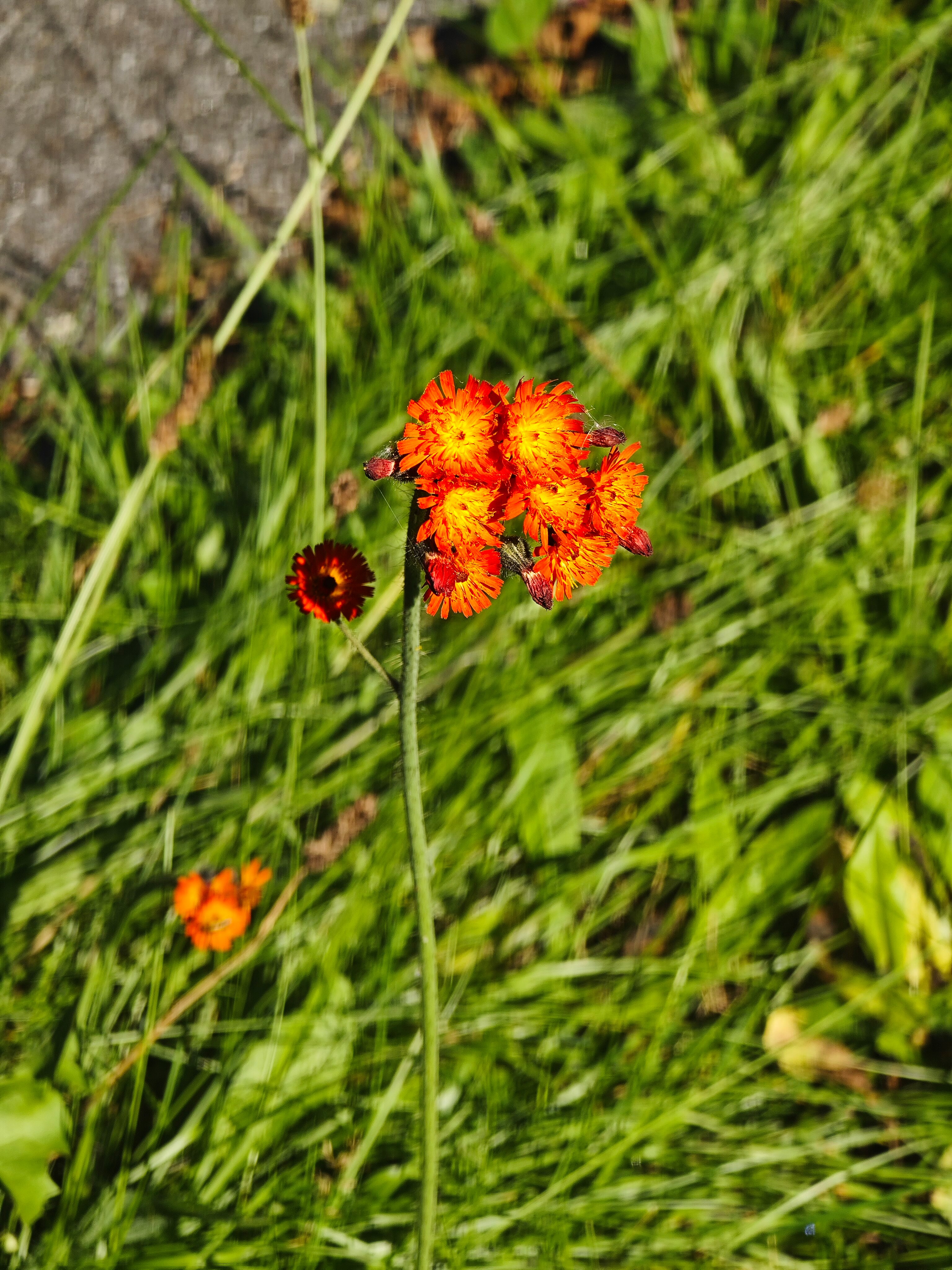 IMG 20230909 111245