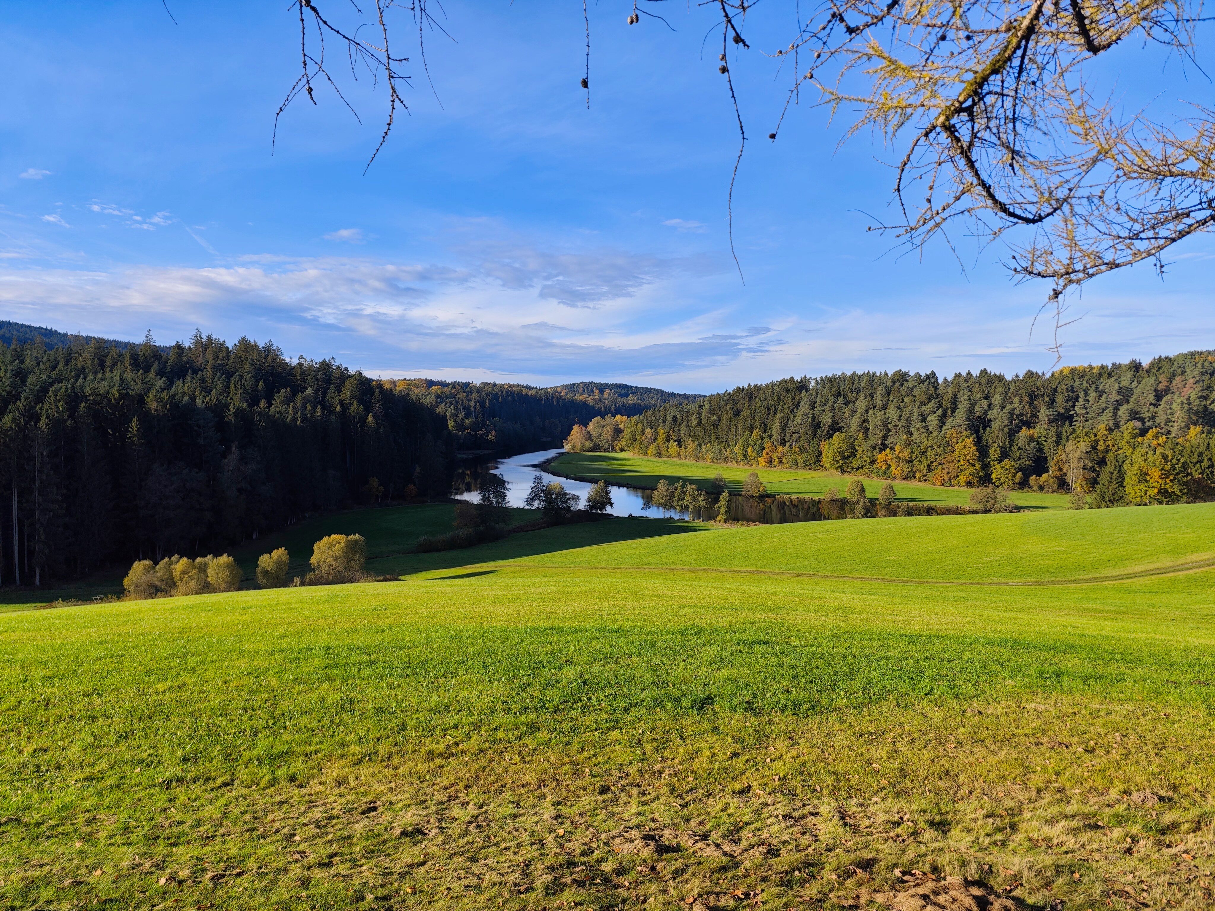 IMG 20231029 144815
