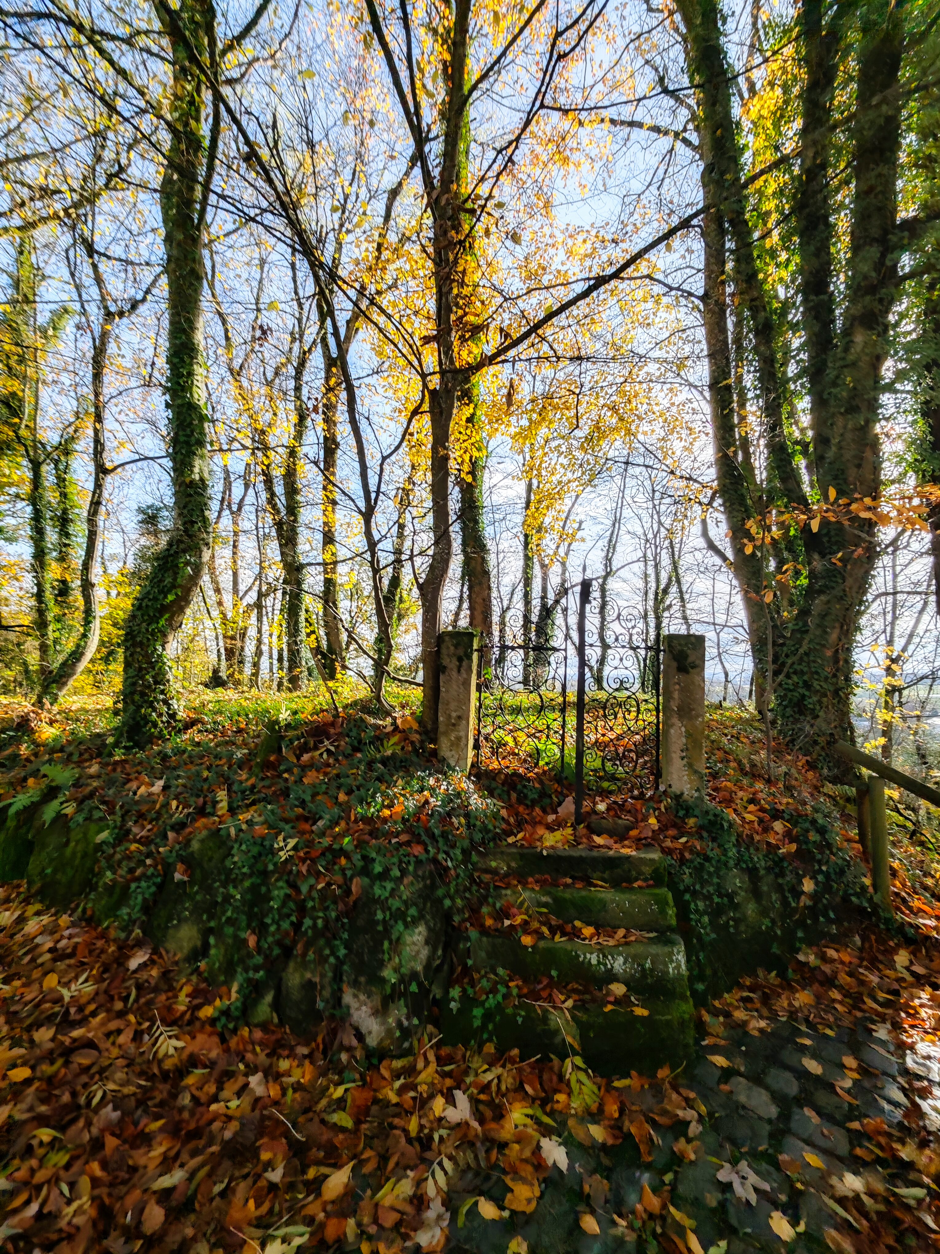 IMG 20231112 124807