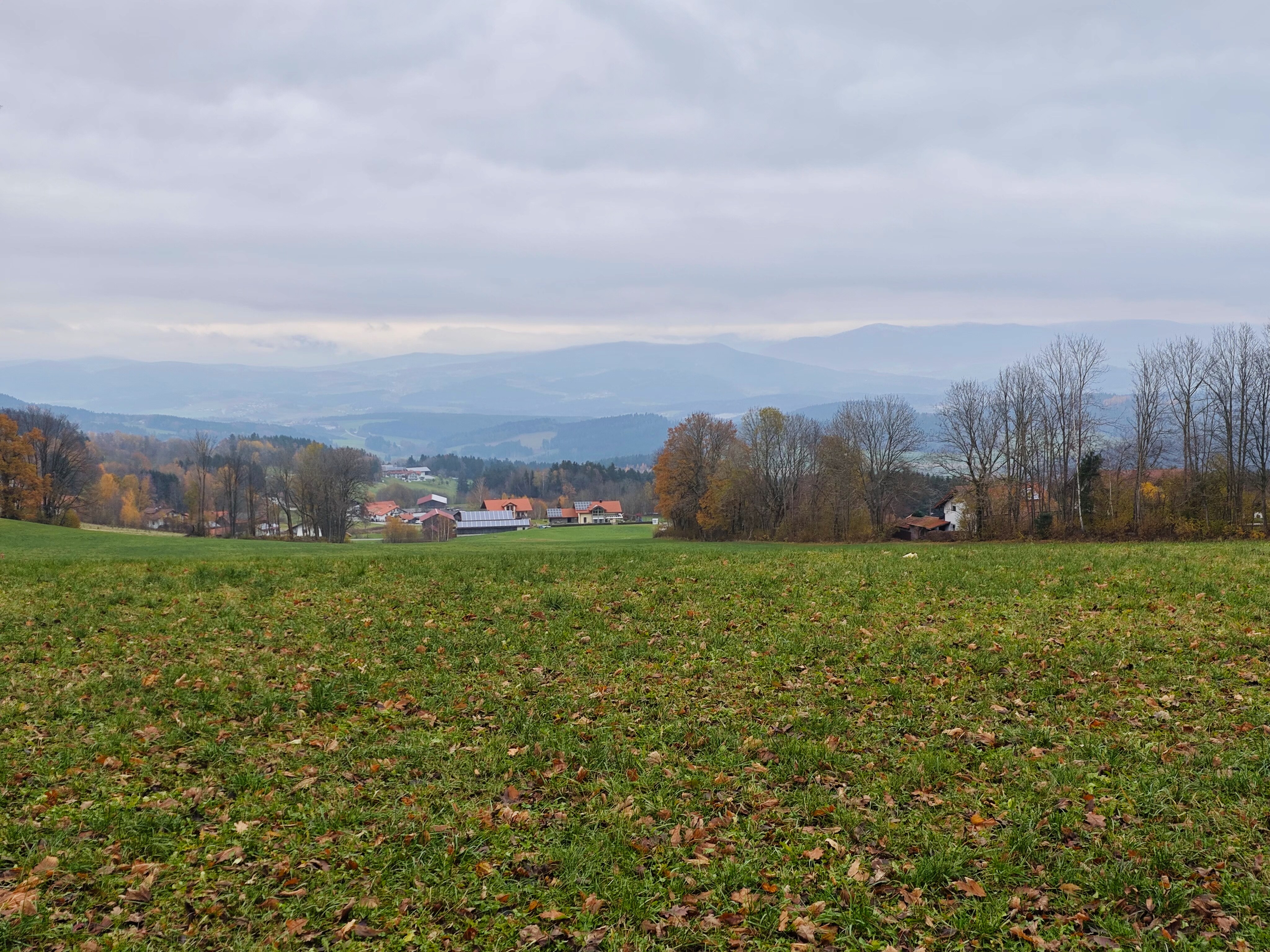 IMG 20231122 143857
