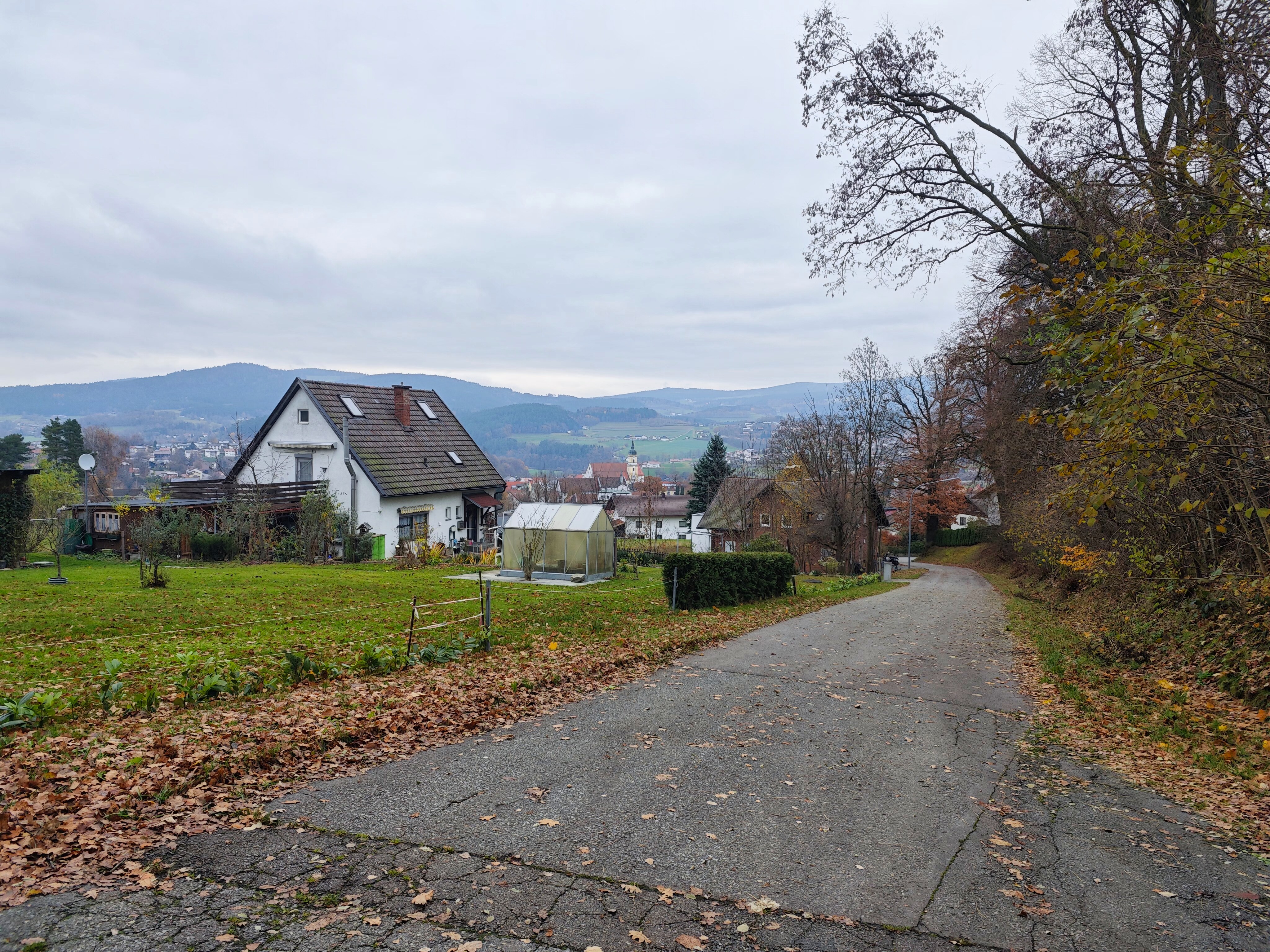 IMG 20231122 145337