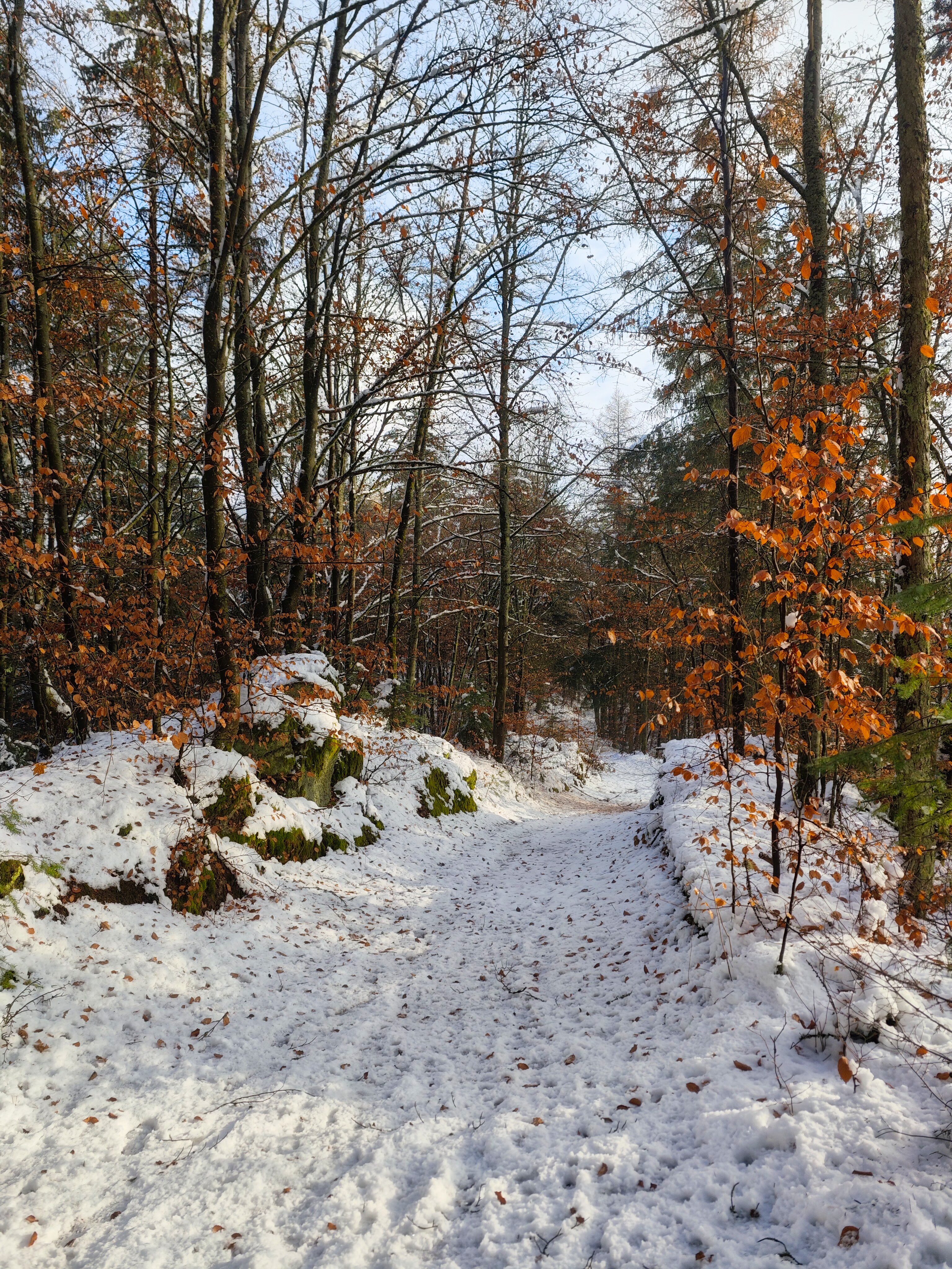 IMG 20231207 110047