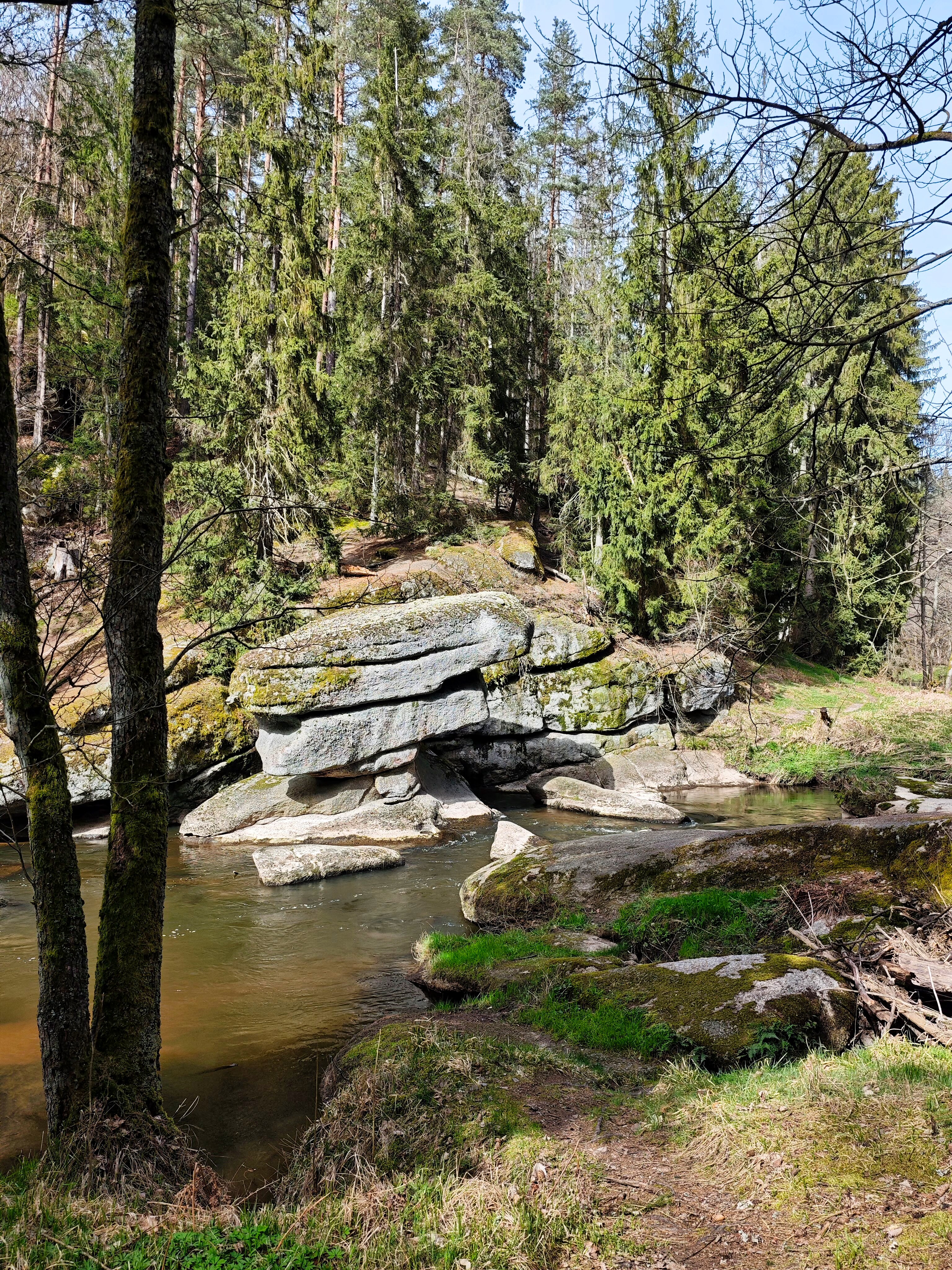 IMG 20240330 135059