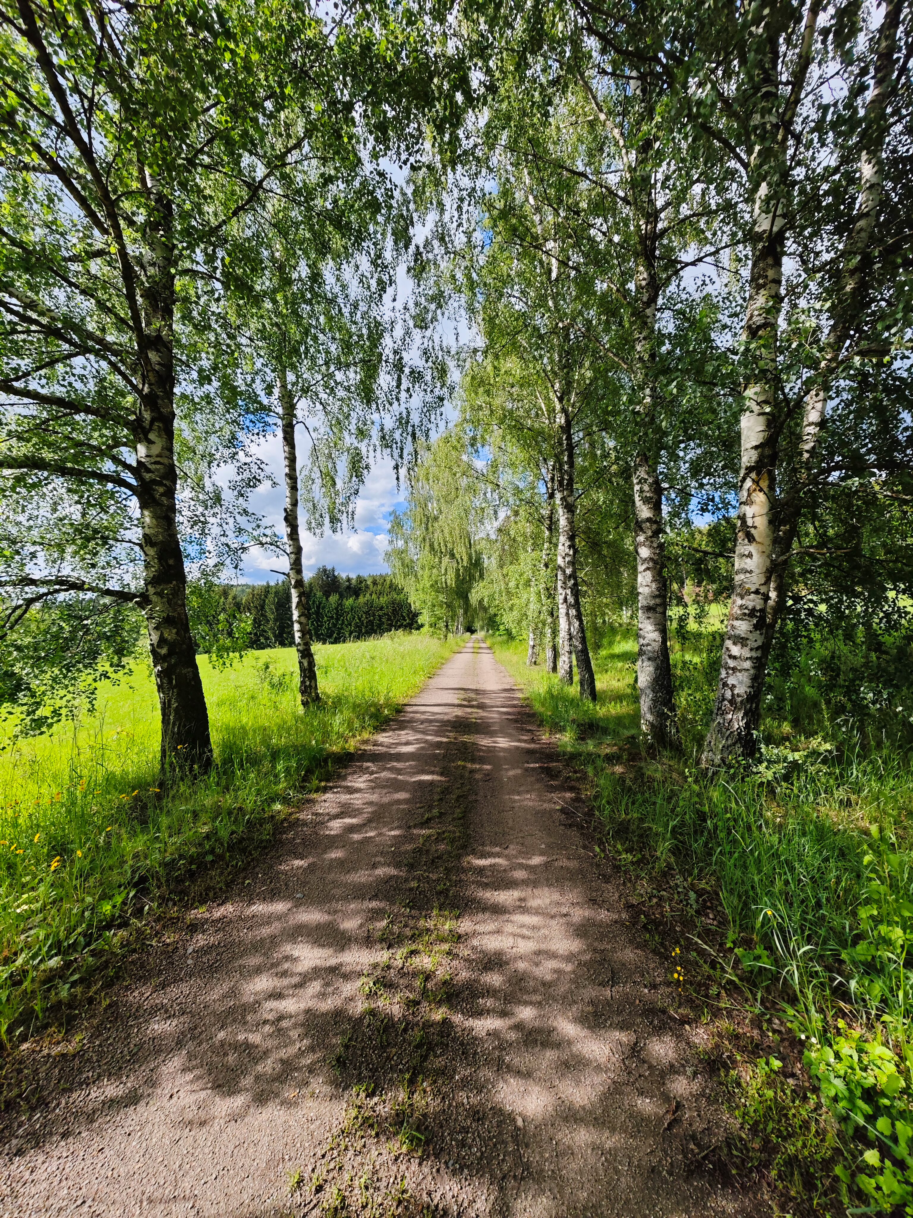 IMG 20240528 170017