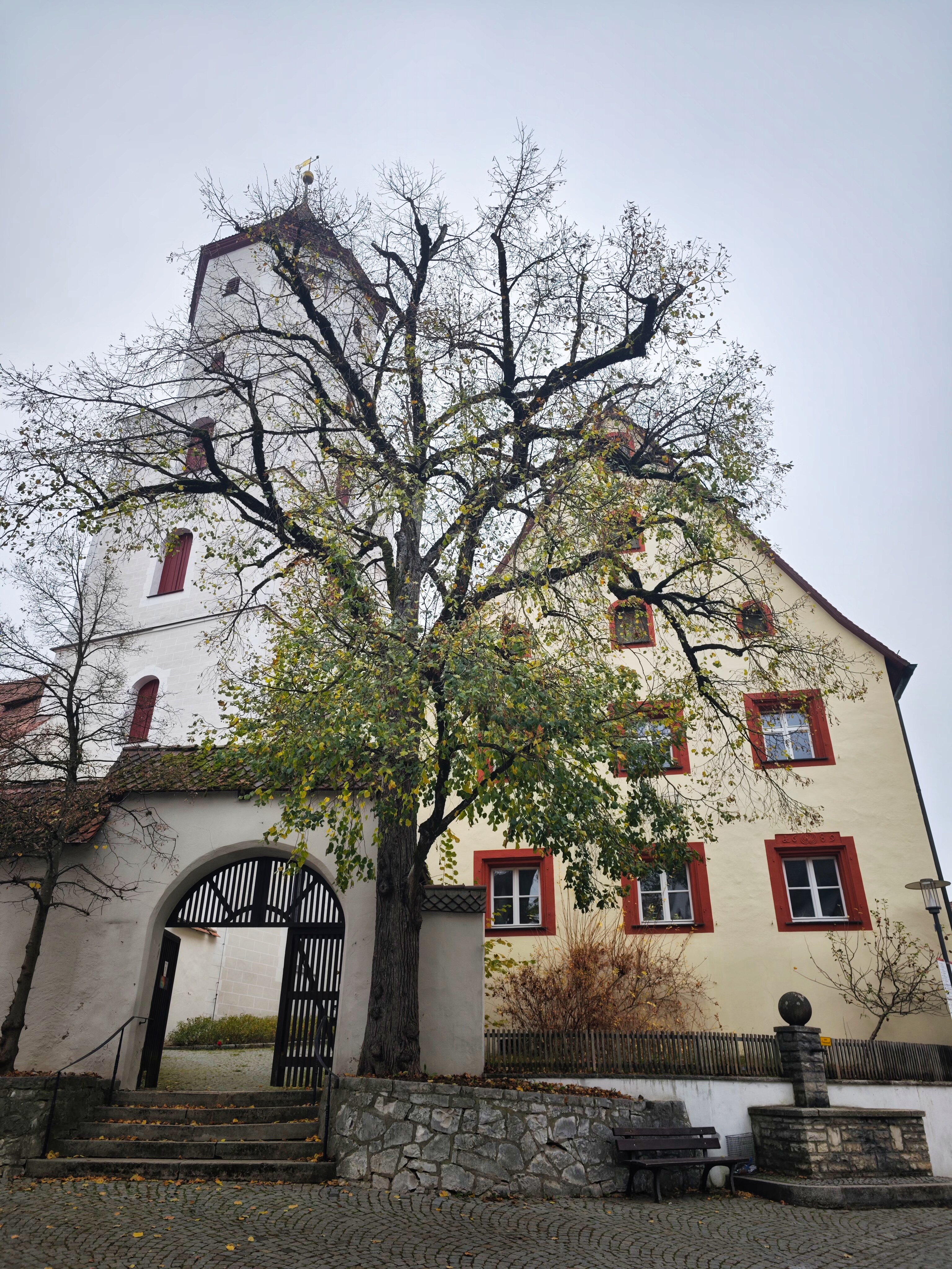 IMG 20241109 150548