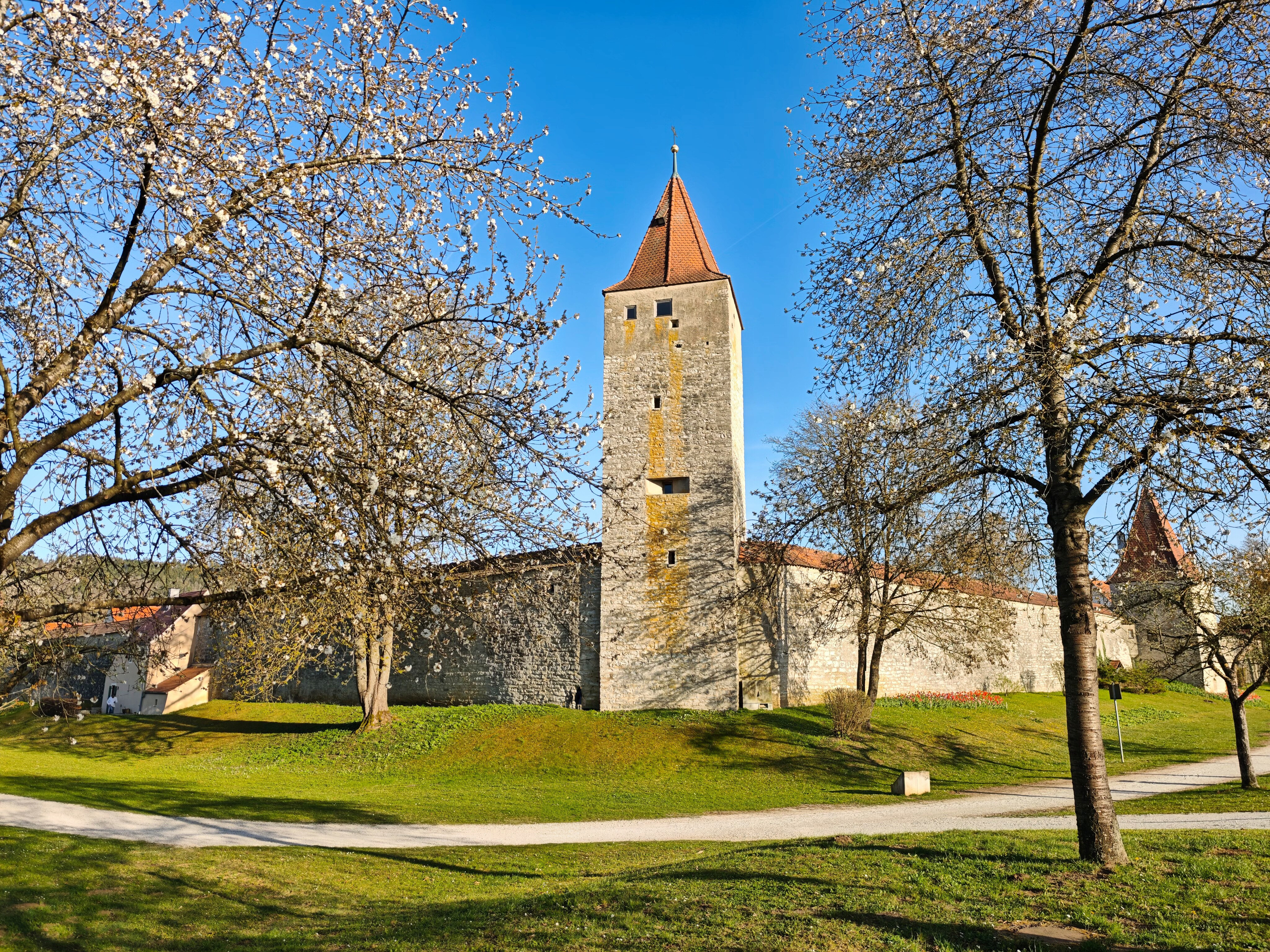 IMG 20250412 181634