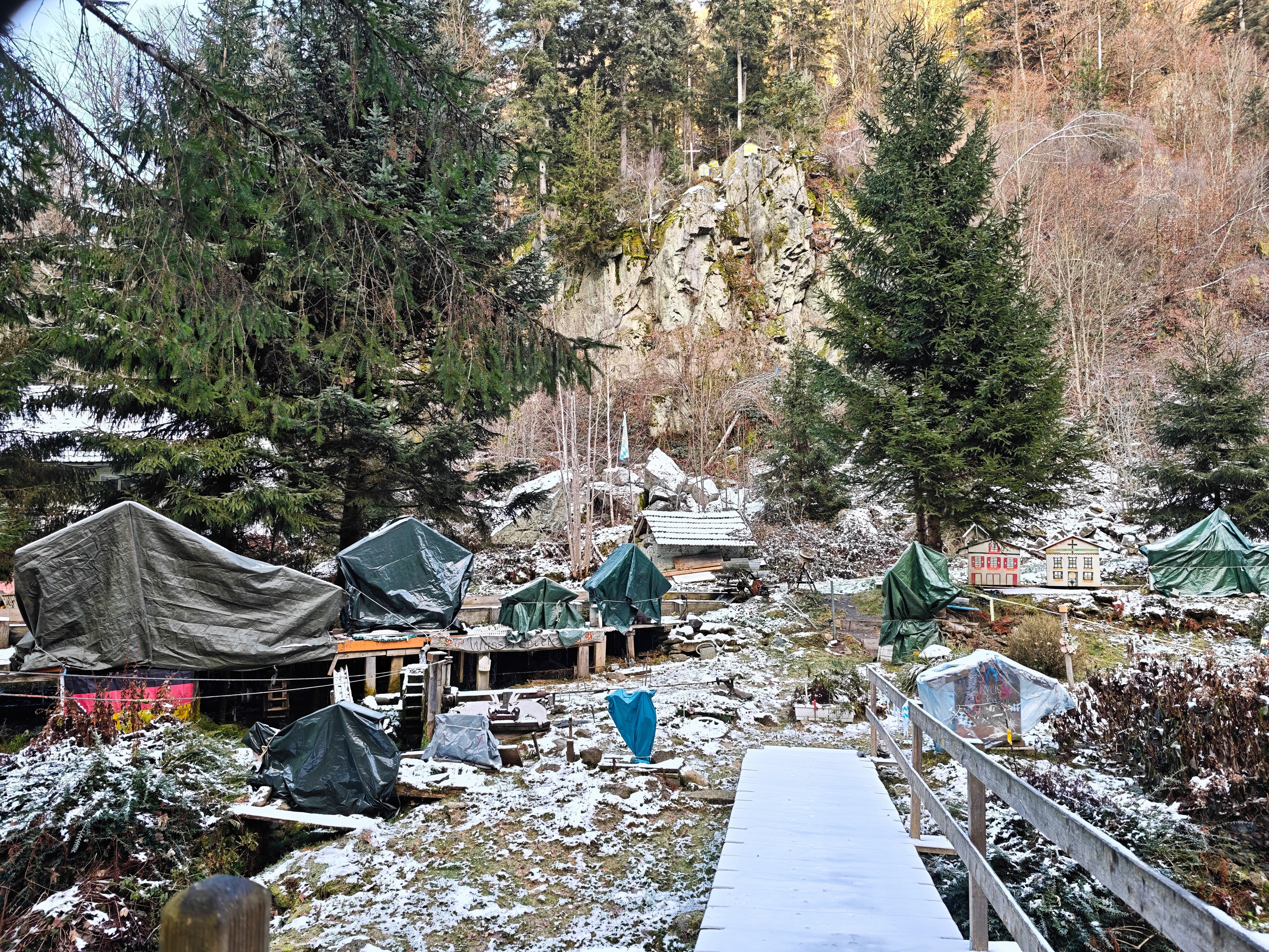IMG 20251122 142803