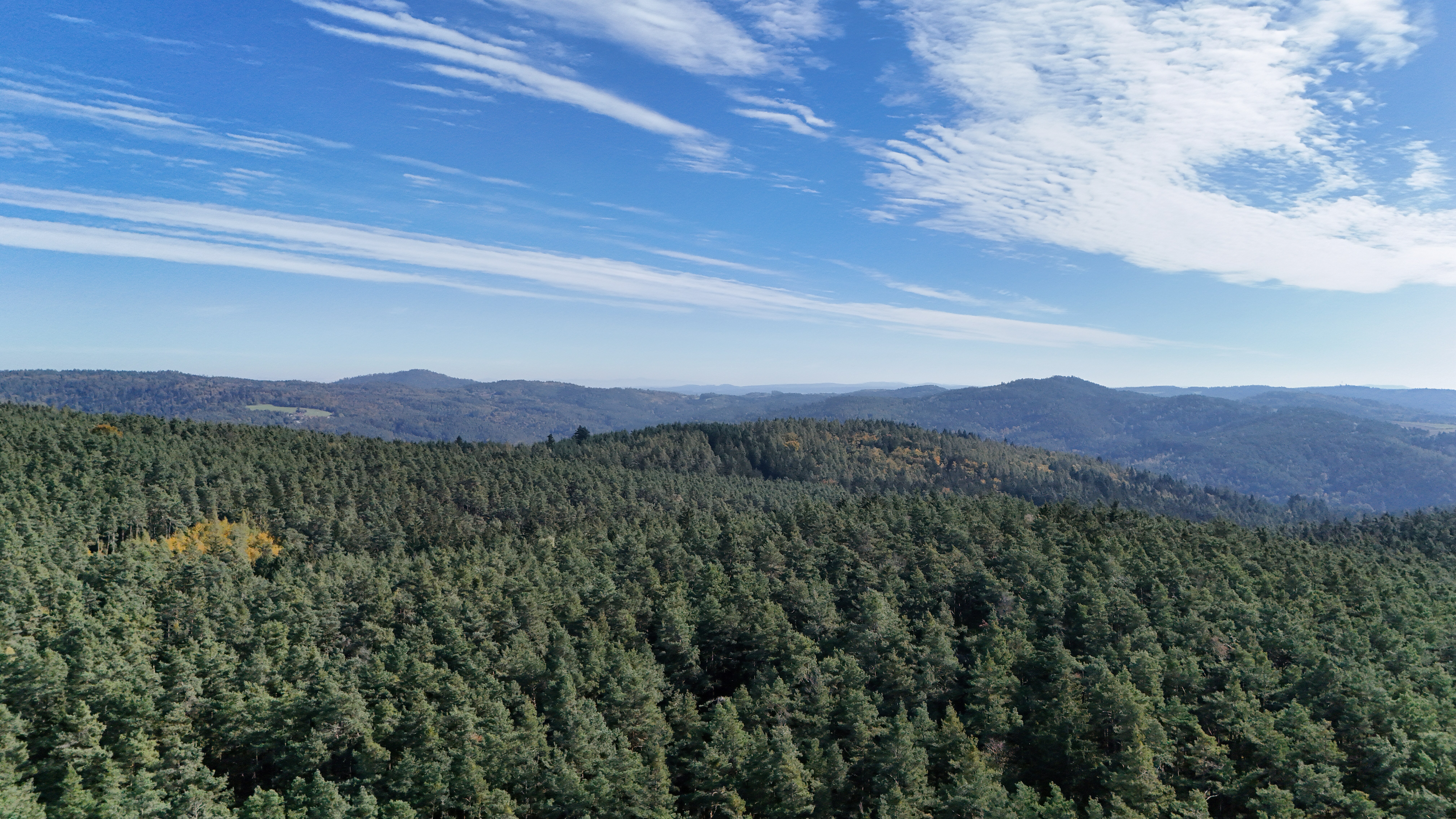 Dji fly 20241016 121156 0019 1729084604417 photo