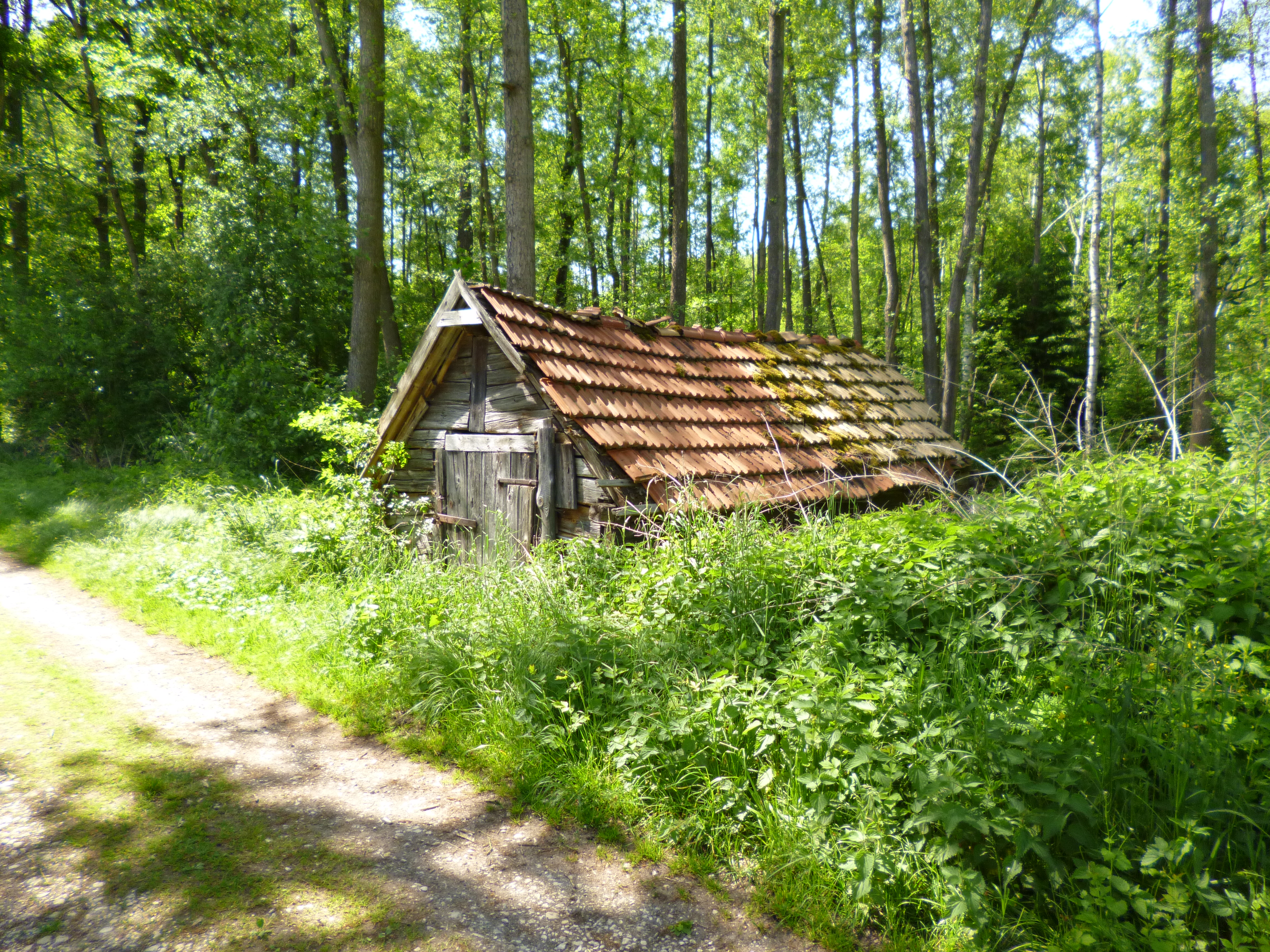 P1000030