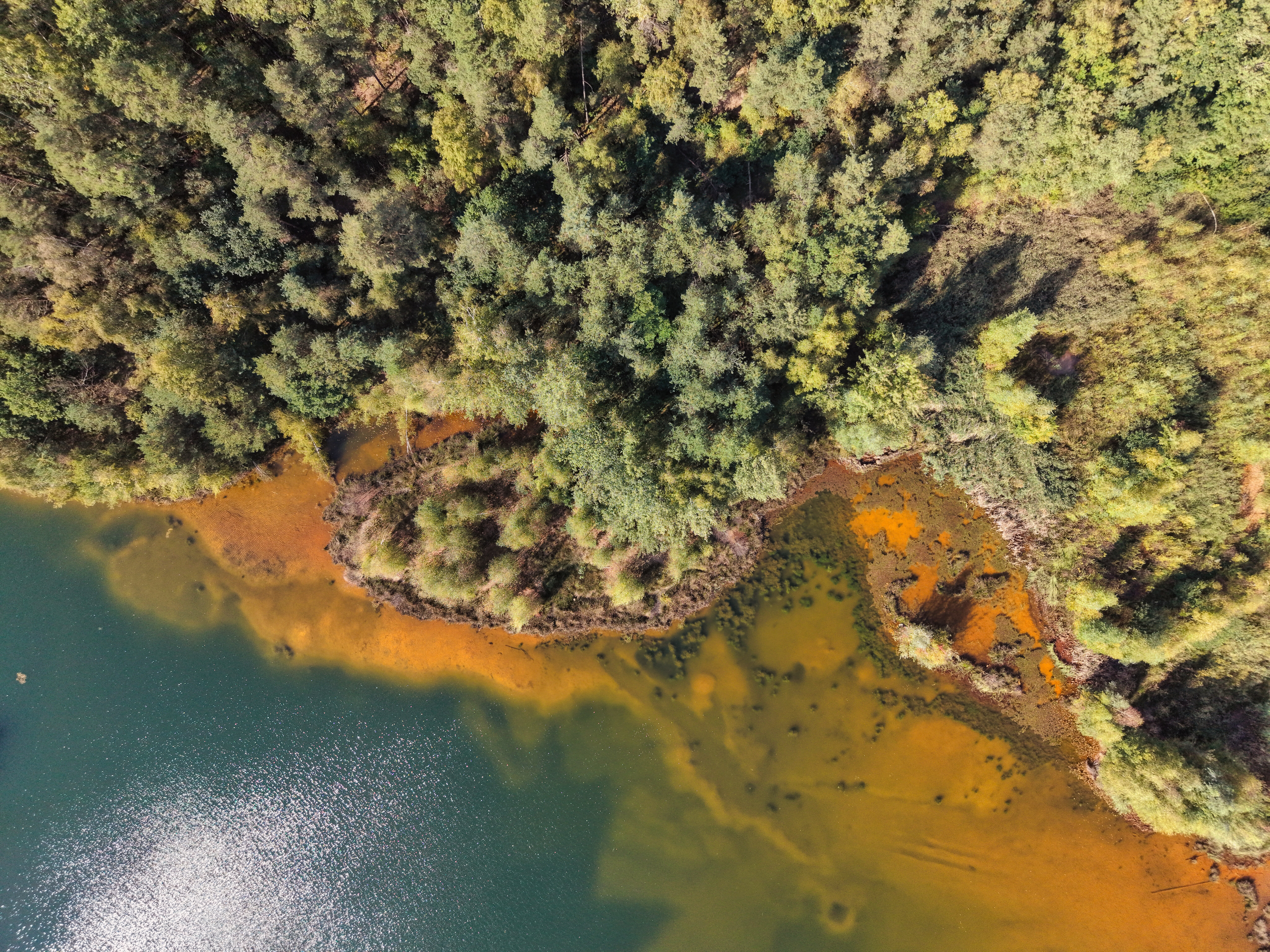 Dji fly 20251001 145836 0217 1759345112675 photo
